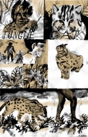 10_junglecatwebcolor.jpg